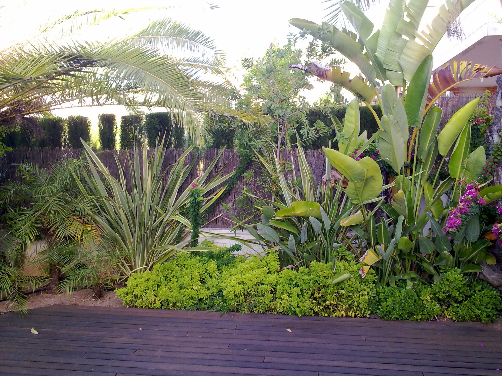 Paisajismo San Rafael