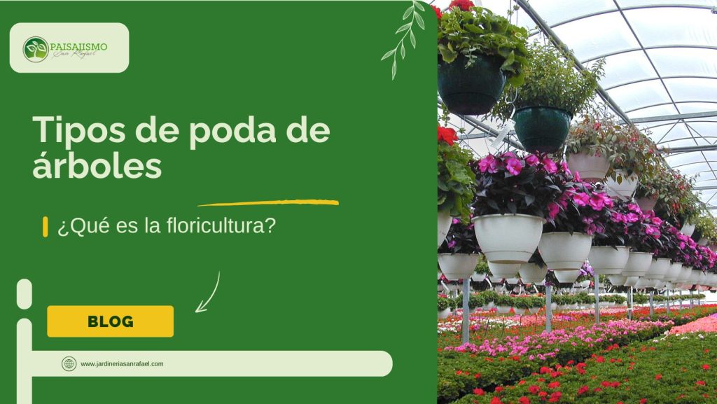 Qué es la floricultura