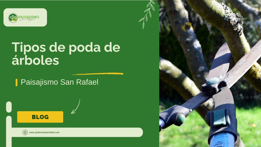 Tipos de poda de árboles