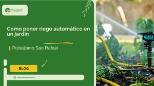 Como poner riego automático en un jardín